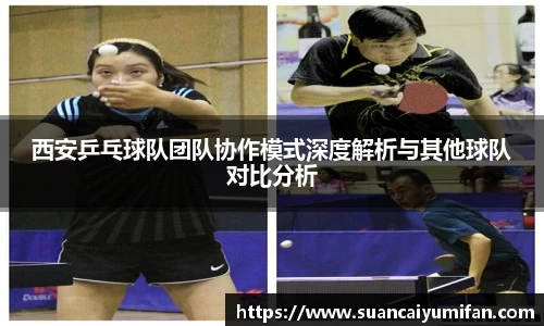 西安乒乓球队团队协作模式深度解析与其他球队对比分析