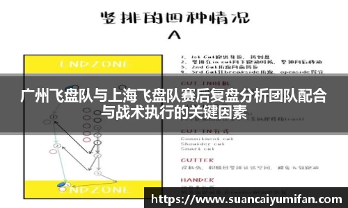 广州飞盘队与上海飞盘队赛后复盘分析团队配合与战术执行的关键因素