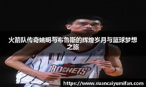 火箭队传奇姚明与布鲁斯的辉煌岁月与篮球梦想之旅