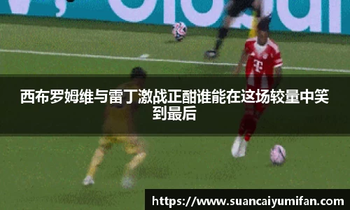 西布罗姆维与雷丁激战正酣谁能在这场较量中笑到最后